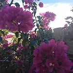 Dinocamp Landhaus Lourinhã