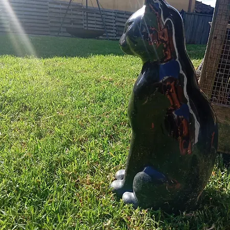 Dinocamp * Lourinhã