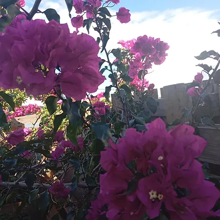 Dinocamp Casa de Campo Lourinhã