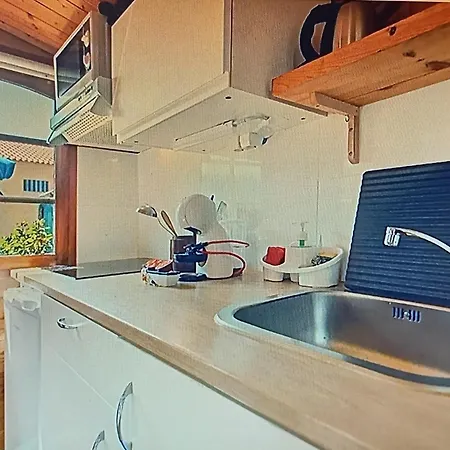 Casa de Campo Dinocamp *