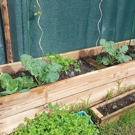 Dinocamp * Lourinhã