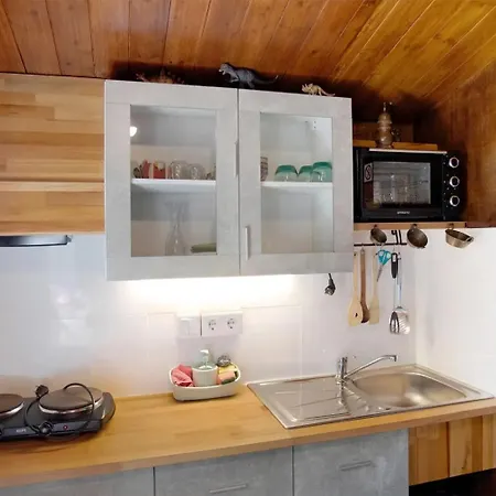 Casa de Campo Dinocamp