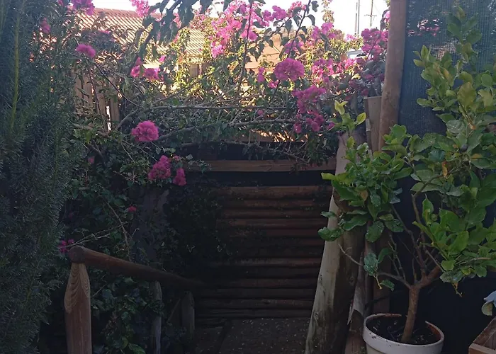 Séjour à la campagne Dinocamp *