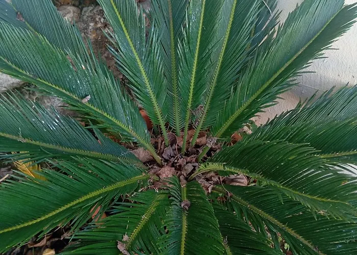 Dinocamp Séjour à la campagne