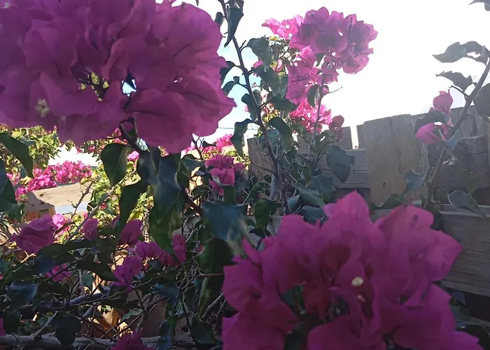 Dinocamp Landhuis Lourinhã