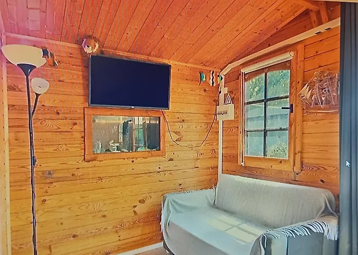 Dinocamp * 로리냐