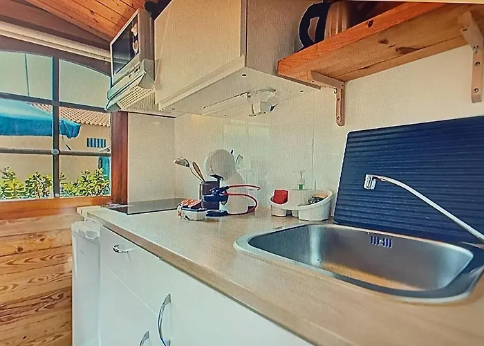 컨트리하우스 Dinocamp *