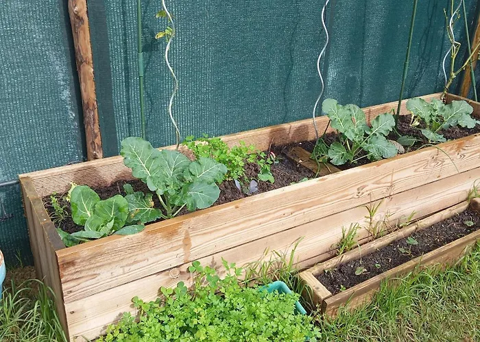 Dinocamp * Lourinhã